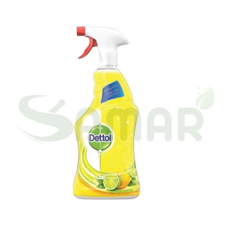 DETTOL SPRAY 750ML