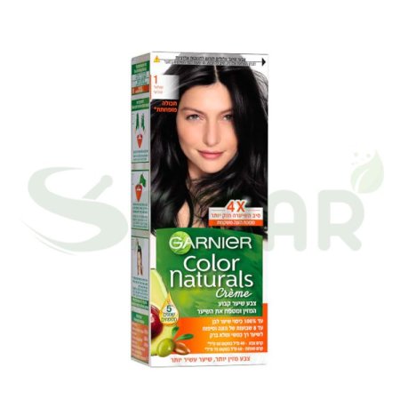 GARNIER 1