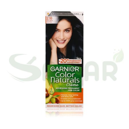 GARNIER 2.1